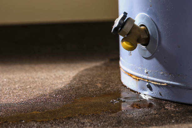 Best 24-hour water damage restoration  in Port Charlotte, FL