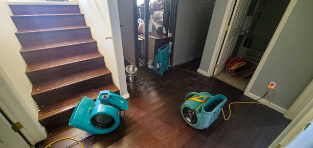 Best Water damage restoration process  in Port Charlotte, FL
