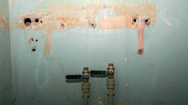 24/7 water damage repair in FL