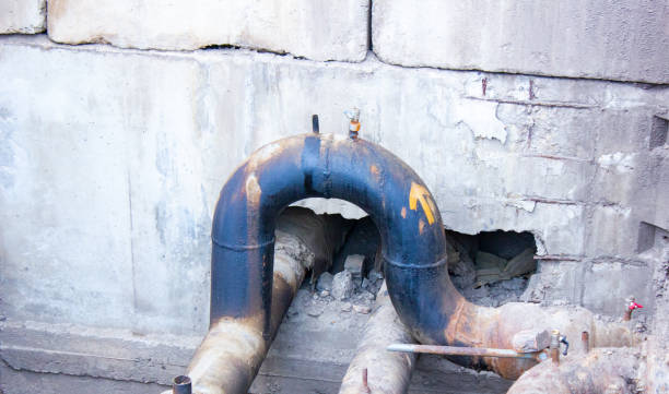 Best Flood damage cleanup  in Port Charlotte, FL