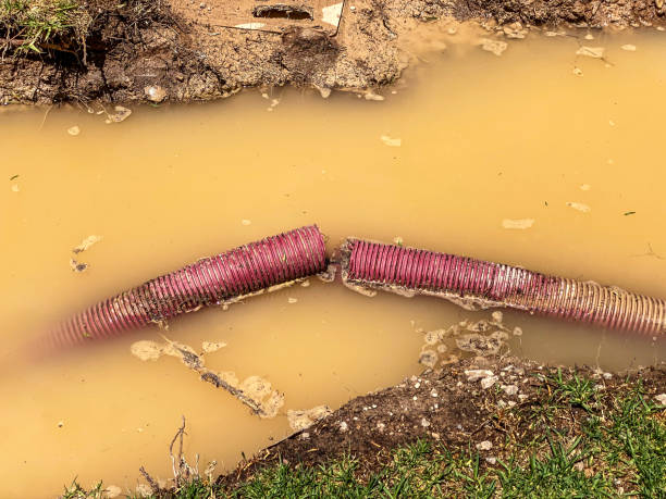 Best 24/7 water damage repair  in Port Charlotte, FL