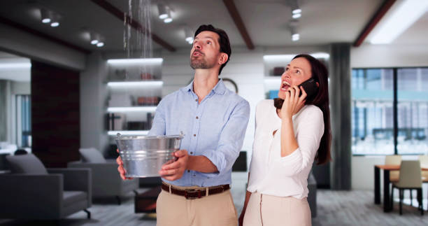 Best Water damage cleanup near me  in Port Charlotte, FL