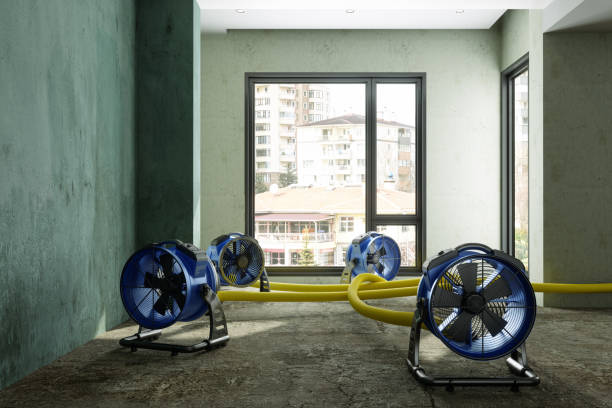 Best Local water damage restoration  in Port Charlotte, FL