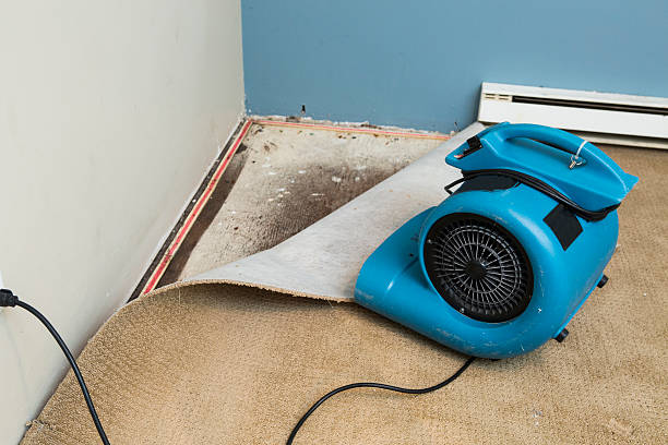 Best Flood restoration services  in Port Charlotte, FL